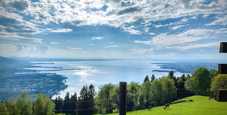 A broad panorama across Lake Constance from the Pfänder above Bregenz.